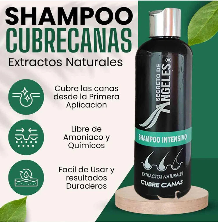 Shampoo Anticanas - Secreto de Angeles